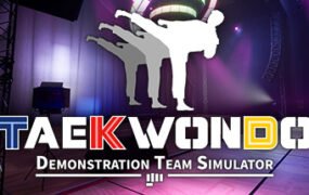 跆拳道虚拟示范团/Taekwondo Demonstration Team Simulator（v1.4.2.472）