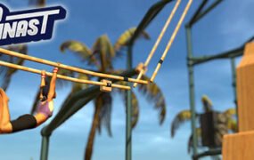 职业体操运动员/Pro Gymnast