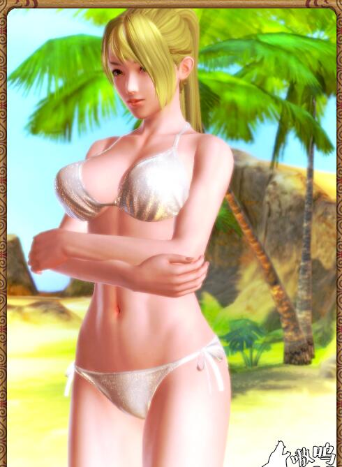 【PC/3D/SLG/中文】性感沙滩4【40G】